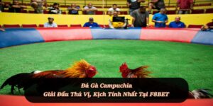 Đá Gà F8BET - Sảnh Cá Cược Đá Gà Trực Tiếp, Đá Gà Thomo