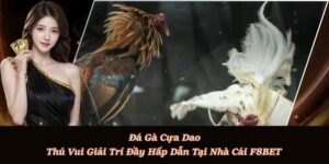 Đá Gà F8BET - Sảnh Cá Cược Đá Gà Trực Tiếp, Đá Gà Thomo