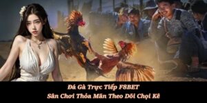 Đá Gà F8BET - Sảnh Cá Cược Đá Gà Trực Tiếp, Đá Gà Thomo