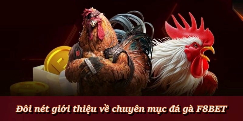 Đá Gà F8BET - Sảnh Cá Cược Đá Gà Trực Tiếp, Đá Gà Thomo