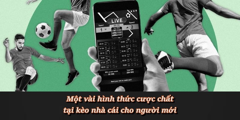 Kèo Nhà Cái F8BET - Nơi hội tụ kèo cược chất lượng Kèo Nhà Cái F8BET - Nơi hội tụ kèo cược chất lượng