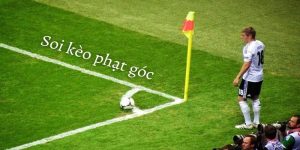 Thể Thao F8BET - Sảnh Cá Cược Thể Thao Xanh Chín Nhất