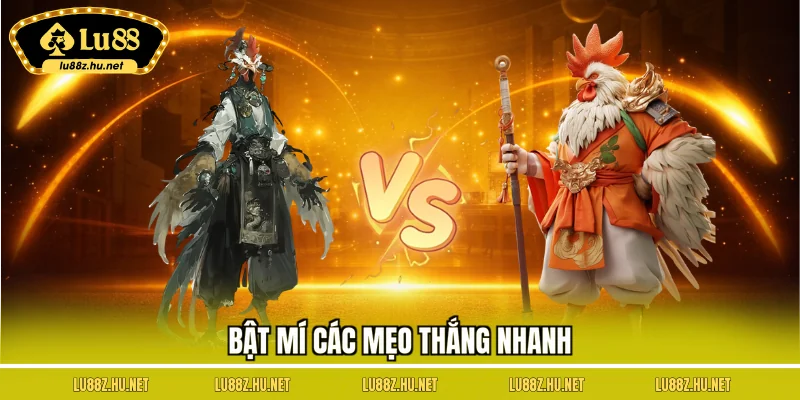 Đá Gà Mạng Là Gì – Hướng Dẫn Trải Nghiệm Trận Đấu Trực Tuyến
