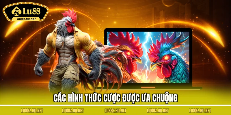Đá Gà LU88 - Tận Hưởng Những Trận Đấu Sôi Nổi, Đặc Sắc