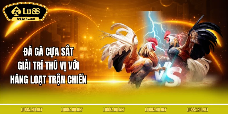 Đá Gà LU88 - Tận Hưởng Những Trận Đấu Sôi Nổi, Đặc Sắc