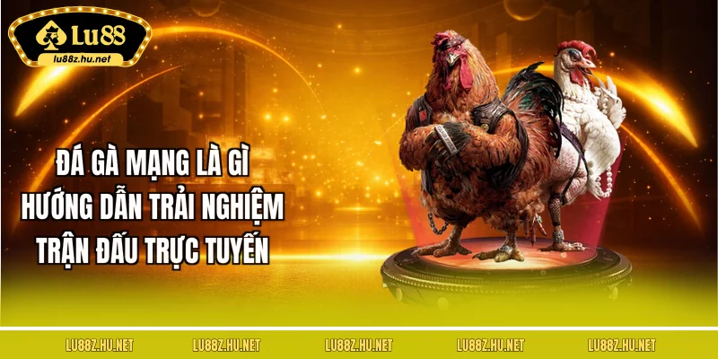 Đá Gà LU88 - Tận Hưởng Những Trận Đấu Sôi Nổi, Đặc Sắc