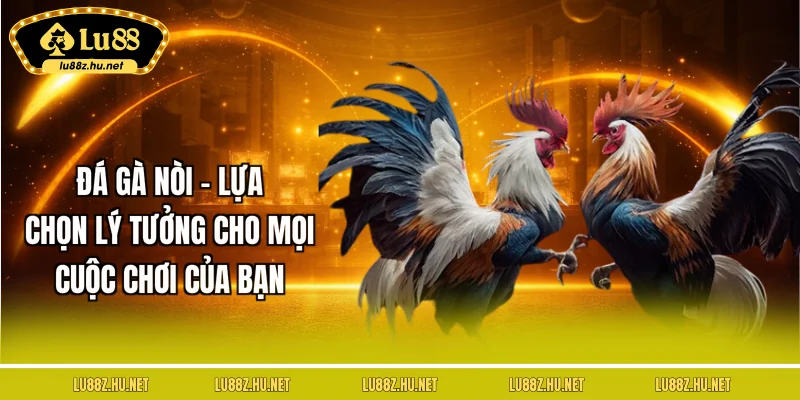Đá Gà LU88 - Tận Hưởng Những Trận Đấu Sôi Nổi, Đặc Sắc