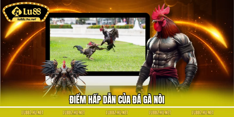 Đá Gà Nòi - Lựa Chọn Lý Tưởng Cho Mọi Cuộc Chơi Của Bạn