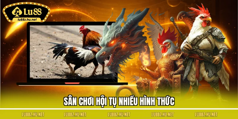 Đá Gà LU88 - Tận Hưởng Những Trận Đấu Sôi Nổi, Đặc Sắc