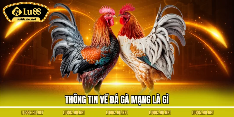 Đá Gà Mạng Là Gì – Hướng Dẫn Trải Nghiệm Trận Đấu Trực Tuyến