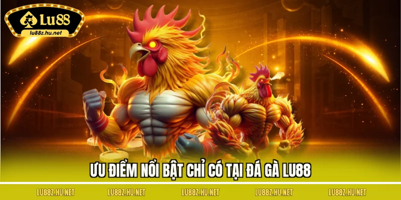 Đá Gà LU88 - Tận Hưởng Những Trận Đấu Sôi Nổi, Đặc Sắc